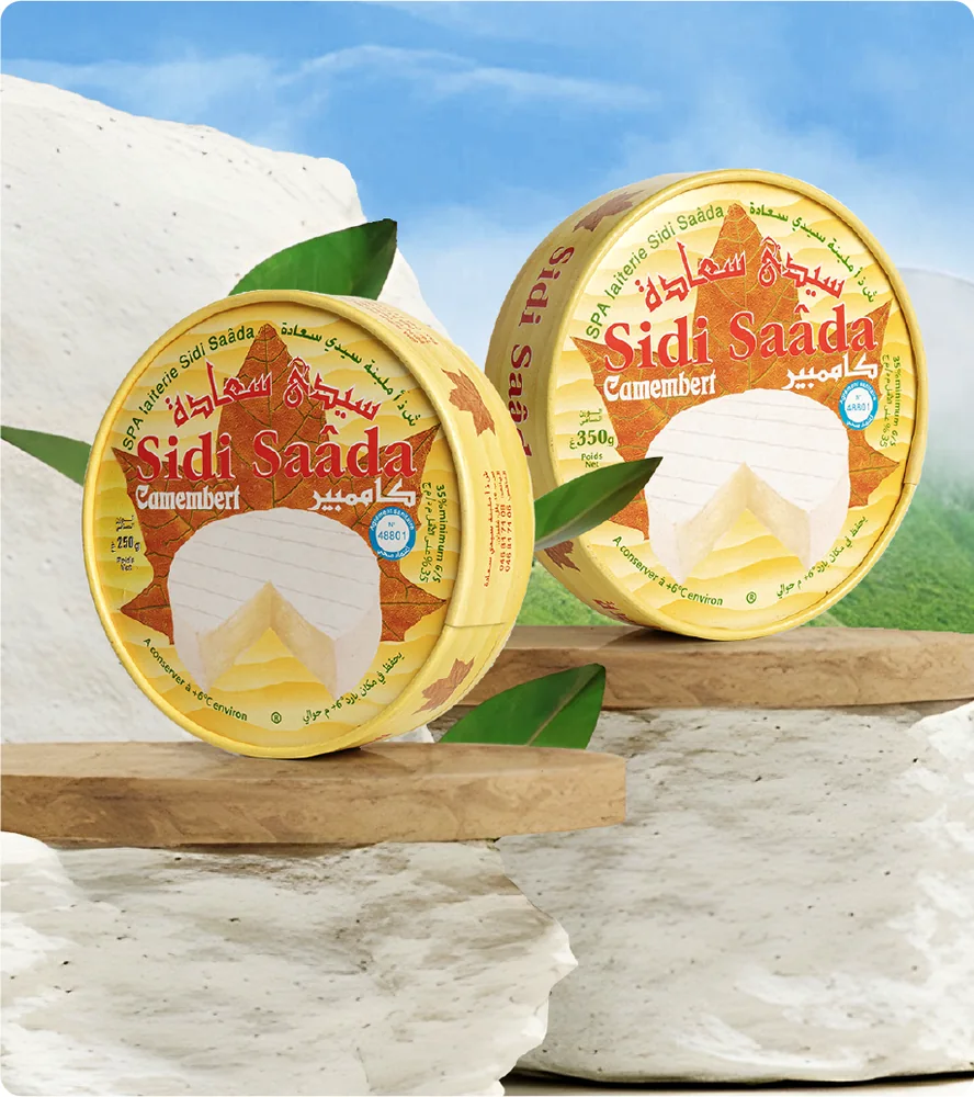 Sidi Saada — Milk and dairy collection