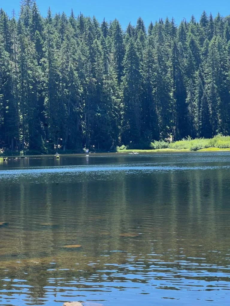 Sunlight across a forest-lined lake
