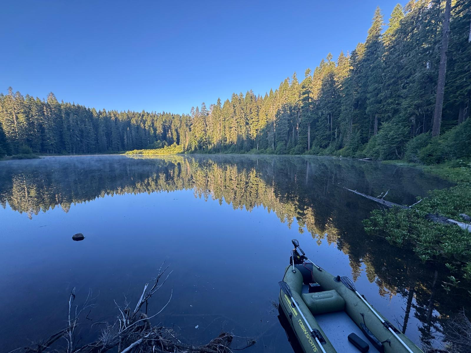 Forest reflected in a blue lake